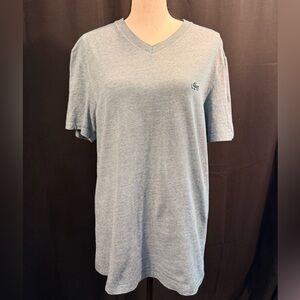 Lacoste Teal Green Micro-Stripe V-Neck T-Shirt | Crocodile Logo | Regular Fit M